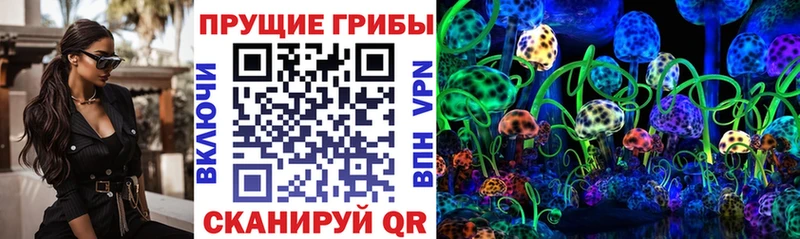 Купить закладки  Пионерский  Псилоцибиновые грибы GOLDEN TEACHER 